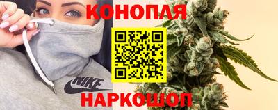 трава Партизанск