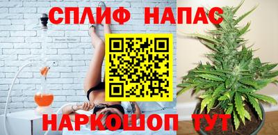 шишки Пушкино