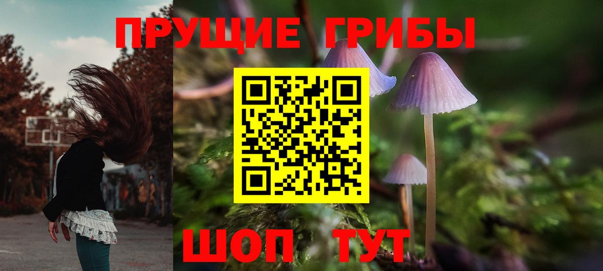 Галлюциногенные грибы мицелий  Галлюциногенные грибы MAGIC MUSHROOMS  наркошоп  Вход с VPN  Саратов 