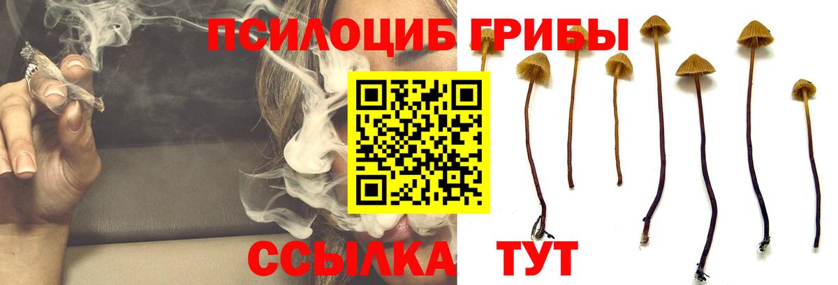 Галлюциногенные грибы мицелий Саратов